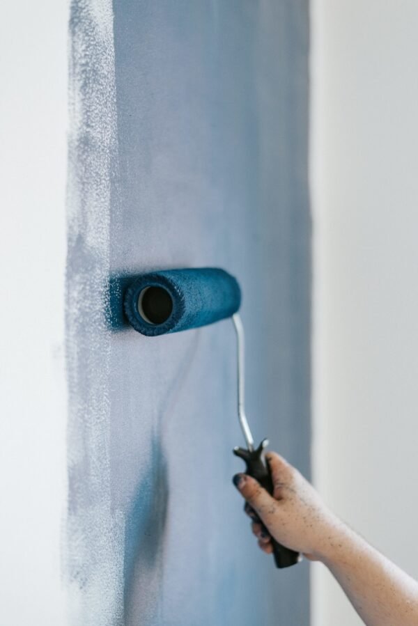 Internal & External Painting Issues - Image 2